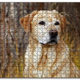 Cakapuzzle Kuru Otların Arasındaki Labrador Mdf 120 Parça Puzzle