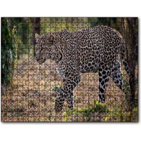 Cakapuzzle Kuru Otların Üzerinde Yürüyen Leopar Mdf 1000 Parça Puzzle
