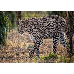 Cakapuzzle Kuru Otların Üzerinde Yürüyen Leopar Mdf 120 Parça Puzzle