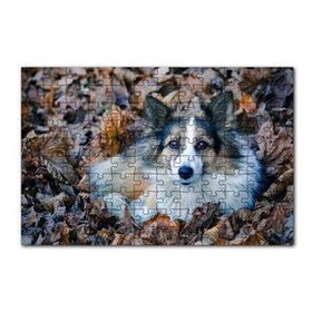 Cakapuzzle Kuru Yapraklar Arasındaki Sevimli Köpek 120 Parça Puzzle