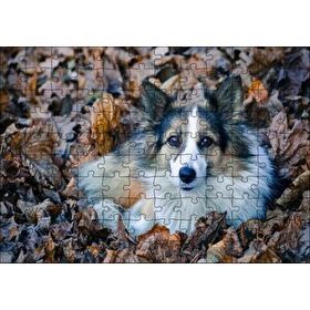 Cakapuzzle Kuru Yapraklar Arasındaki Sevimli Köpek 120 Parça Puzzle