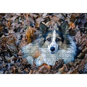 Cakapuzzle Kuru Yapraklar Arasındaki Sevimli Köpek 120 Parça Puzzle