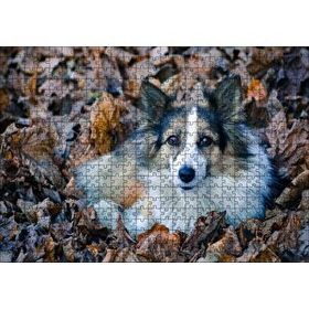 Cakapuzzle Kuru Yapraklar Arasındaki Sevimli Köpek 120 Parça Puzzle