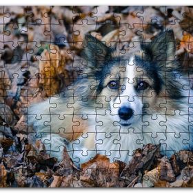 Cakapuzzle Kuru Yapraklar Arasındaki Sevimli Köpek Mdf 1000 Parça Puzzle
