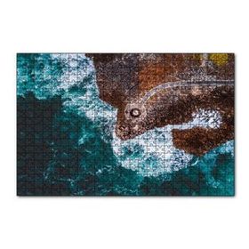 Cakapuzzle Kuşbakışı Kıyı, Dalgalar ve Seyir Terası 255 Parça Puzzle