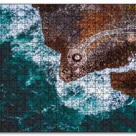 Cakapuzzle Kuşbakışı Kıyı Dalgalar ve Seyir Terası Mdf 120 Parça Puzzle