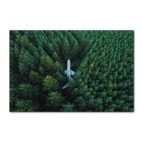 Cakapuzzle Kuşbakışı Ormanın Ortasındaki Uçak 255 Parça Puzzle