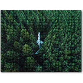 Cakapuzzle Kuşbakışı Ormanın Ortasındaki Uçak Mdf 120 Parça Puzzle
