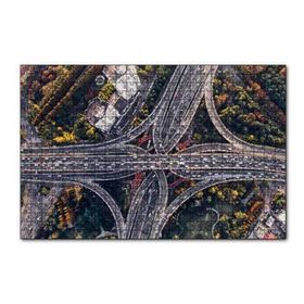 Cakapuzzle Kuşbakışı Otoyollar ve Viyadükler 255 Parça Puzzle