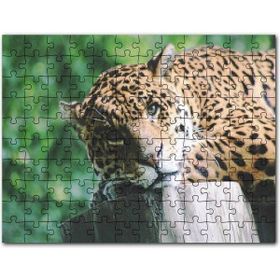 Cakapuzzle Kütüğün Üzerinde Dinlenen Leopar Yakın Çekim Mdf 1000 Parça Puzzle