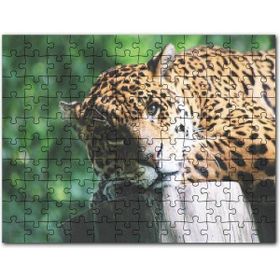 Cakapuzzle Kütüğün Üzerinde Dinlenen Leopar Yakın Çekim Mdf 1000 Parça Puzzle