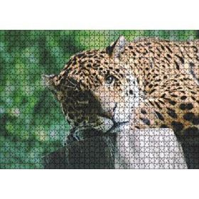Cakapuzzle Kütüğün Üzerinde Dinlenen Leopar Yakın Çekim Mdf 1000 Parça Puzzle