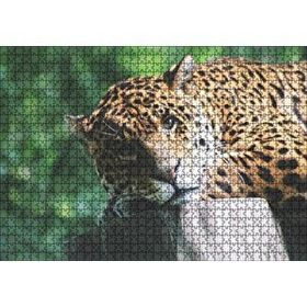 Cakapuzzle Kütüğün Üzerinde Dinlenen Leopar Yakın Çekim Mdf 1000 Parça Puzzle