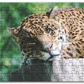 Cakapuzzle Kütüğün Üzerinde Dinlenen Leopar Yakın Çekim Mdf 120 Parça Puzzle