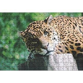 Cakapuzzle Kütüğün Üzerinde Dinlenen Leopar Yakın Çekim Mdf 255 Parça Puzzle