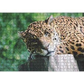 Cakapuzzle Kütüğün Üzerinde Dinlenen Leopar Yakın Çekim Mdf 500 Parça Puzzle
