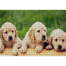 Cakapuzzle Kütüğün Üzerinde Üç Sevimli Labrador 120 Parça Ahşap Puzzle