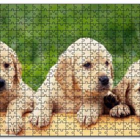 Cakapuzzle Kütüğün Üzerinde Üç Sevimli Labrador Mdf 120 Parça Puzzle