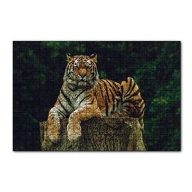 Cakapuzzle Kütüğün Üzerindeki Bengal Kaplanı 120 Parça Ahşap Puzzle
