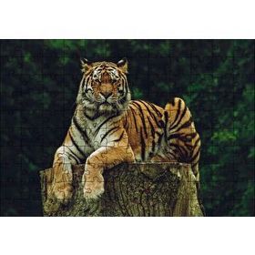 Cakapuzzle Kütüğün Üzerindeki Bengal Kaplanı 120 Parça Ahşap Puzzle