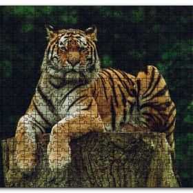 Cakapuzzle Kütüğün Üzerindeki Bengal Kaplanı Mdf 1000 Parça Puzzle