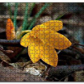 Cakapuzzle Kütükler Arasında Sarı Çiçek Mdf 120 Parça Puzzle