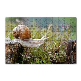 Cakapuzzle Kütükten Otların Üzerine İnen Salyangoz 120 Parça Ahşap Puzzle