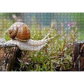 Cakapuzzle Kütükten Otların Üzerine İnen Salyangoz 120 Parça Ahşap Puzzle
