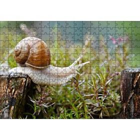 Cakapuzzle Kütükten Otların Üzerine İnen Salyangoz 120 Parça Ahşap Puzzle