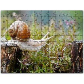 Cakapuzzle Kütükten Otların Üzerine İnen Salyangoz Mdf 255 Parça Puzzle