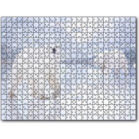 Cakapuzzle Kutup Ayıları Karlar ve Buz Kütleleri 255 Parça Puzzle