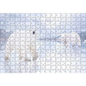 Cakapuzzle Kutup Ayıları Karlar ve Buz Kütleleri 255 Parça Puzzle