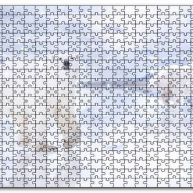 Cakapuzzle Kutup Ayıları Karlar ve Buz Kütleleri Mdf 1000 Parça Puzzle