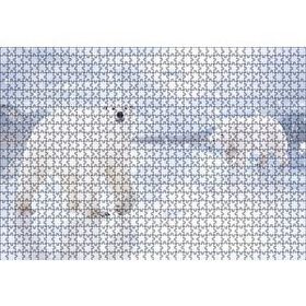 Cakapuzzle Kutup Ayıları Karlar ve Buz Kütleleri Mdf 1000 Parça Puzzle