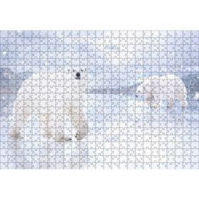 Cakapuzzle Kutup Ayıları Karlar ve Buz Kütleleri Mdf 500 Parça Puzzle