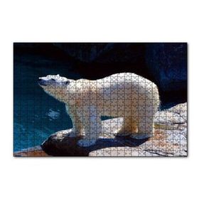 Cakapuzzle Kutup Ayısı Hayvanat Bahçesinde 255 Parça Puzzle
