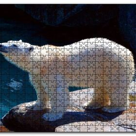 Cakapuzzle Kutup Ayısı Hayvanat Bahçesinde Mdf 1000 Parça Puzzle