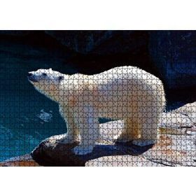 Cakapuzzle Kutup Ayısı Hayvanat Bahçesinde Mdf 1000 Parça Puzzle