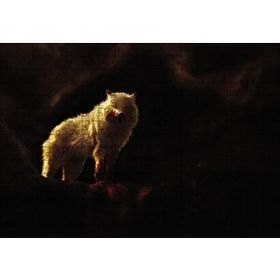 Cakapuzzle Kutup Kurdu Avlanıyor 120 Parça Ahşap Puzzle