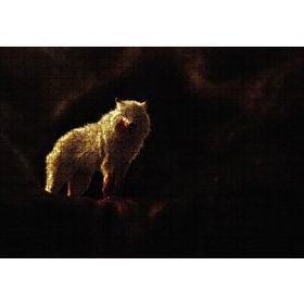 Cakapuzzle Kutup Kurdu Avlanıyor Ahşap 500 Parça Puzzle