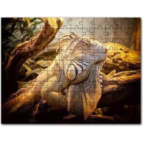 Cakapuzzle Kuzgunların Kralı Görseli Mdf 500 Parça Puzzle