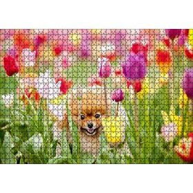 Cakapuzzle Laleler Arasındaki Sevimli Kahverengi Köpek Mdf 1000 Parça Puzzle