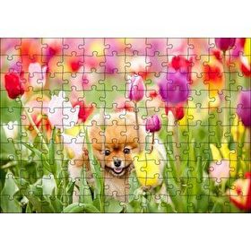 Cakapuzzle Laleler Arasındaki Sevimli Kahverengi Köpek Mdf 120 Parça Puzzle