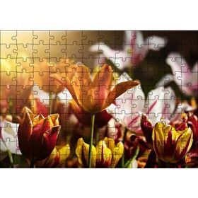 Cakapuzzle Laleler ve Güneş Işıkları Yapboz MDF Puzzle