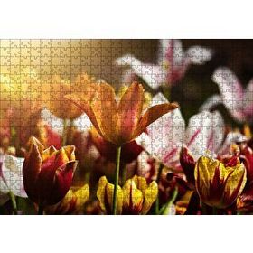 Cakapuzzle Laleler ve Güneş Işıkları Yapboz MDF Puzzle