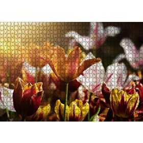 Cakapuzzle Laleler ve Güneş Işıkları Yapboz MDF Puzzle