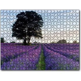Cakapuzzle Lavanta Tarlaları ve Yalnız Ağaç 255 Parça Ahşap Puzzle