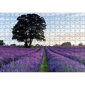 Cakapuzzle Lavanta Tarlaları ve Yalnız Ağaç 255 Parça Ahşap Puzzle