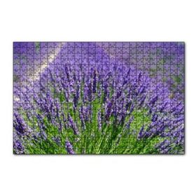 Cakapuzzle Lavanta Tarlasında Lavantalar 120 Parça Ahşap Puzzle