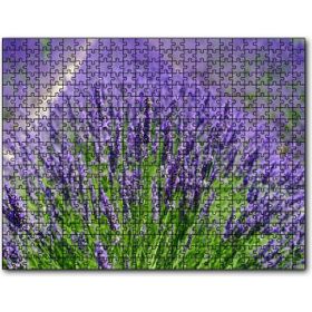 Cakapuzzle Lavanta Tarlasında Lavantalar Mdf 500 Parça Puzzle
